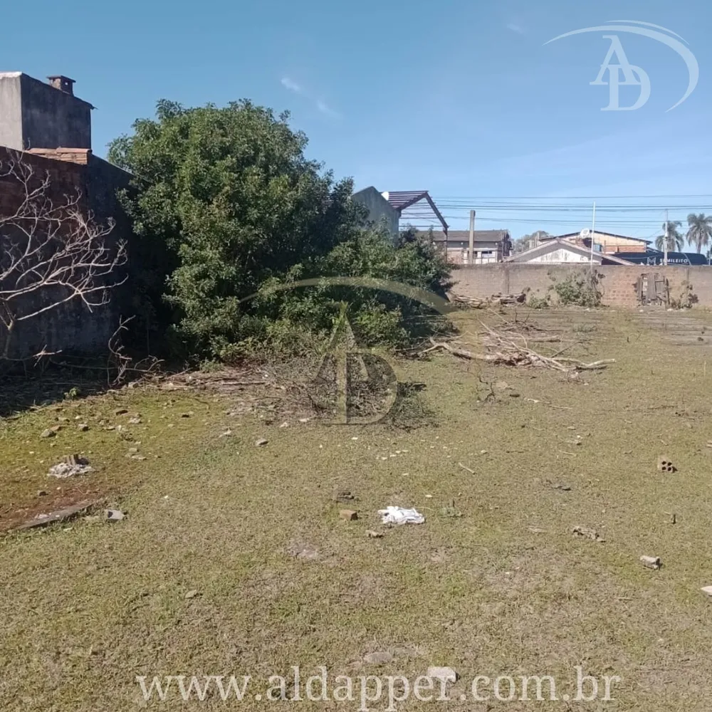 Terreno, 3500 m² - Foto 3