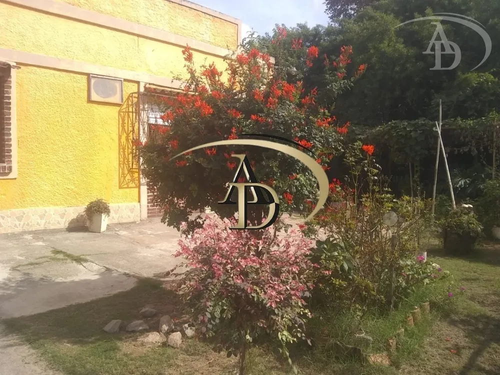 Casa, 3 quartos, 300 m² - Foto 3