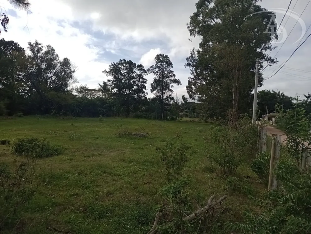Terreno, 2280 m² - Foto 4