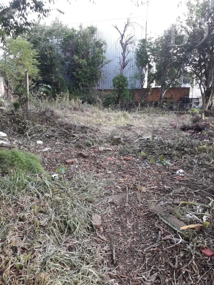 Terreno, 498 m² - Foto 4