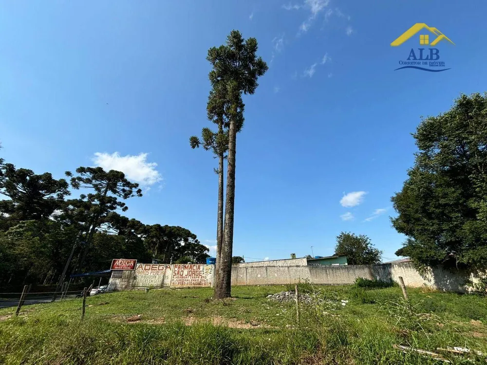 Terreno, 450 m² - Foto 5