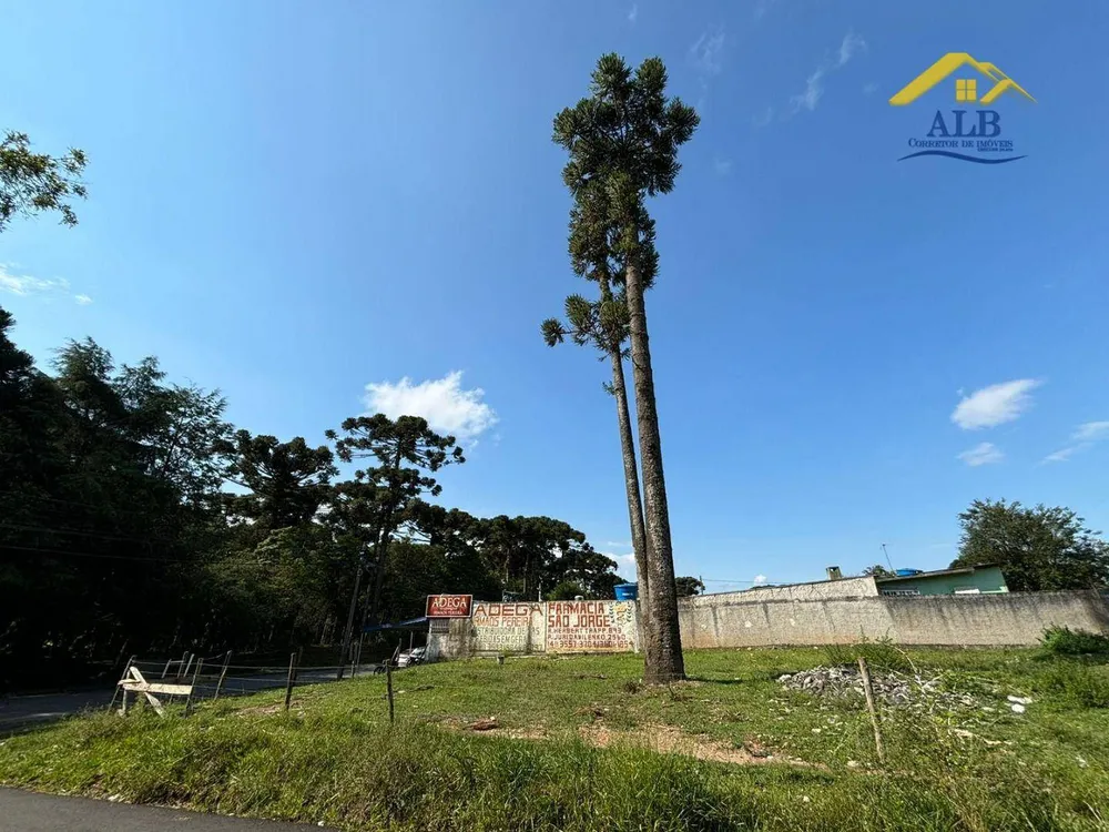 Terreno, 450 m² - Foto 3