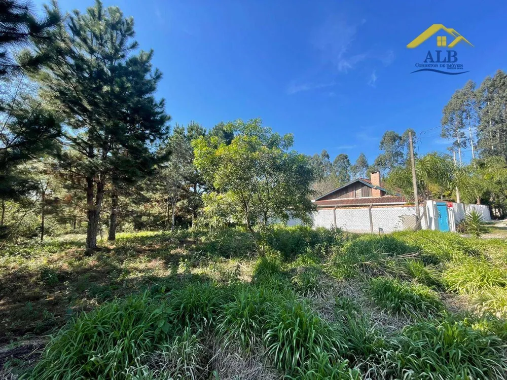 Terreno, 2788 m² - Foto 5