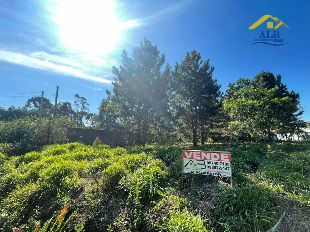 Terreno, 2788 m² - Foto 2