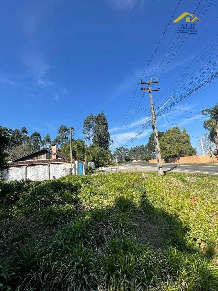 Terreno, 2788 m² - Foto 6