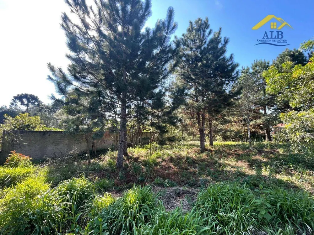 Terreno, 2788 m² - Foto 7