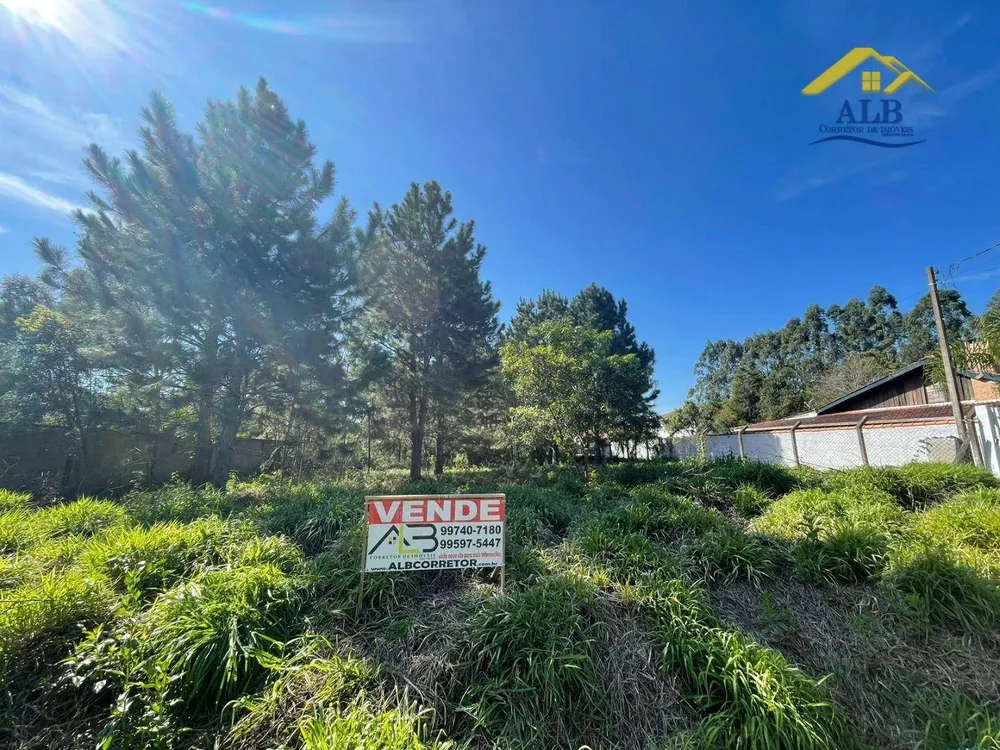 Terreno, 2788 m² - Foto 3