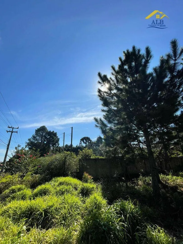 Terreno, 2788 m² - Foto 4