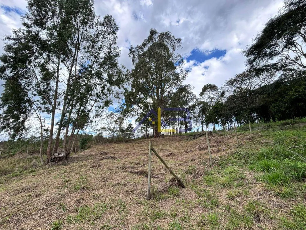 Terreno, 243 m² - Foto 4