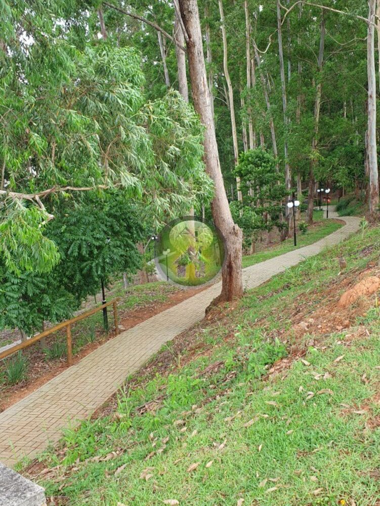 Terreno, 980 m² - Foto 3