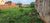 Terreno, 300 m² - Foto 1