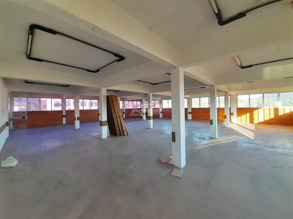 Sala-Conjunto, 250 m² - Foto 7