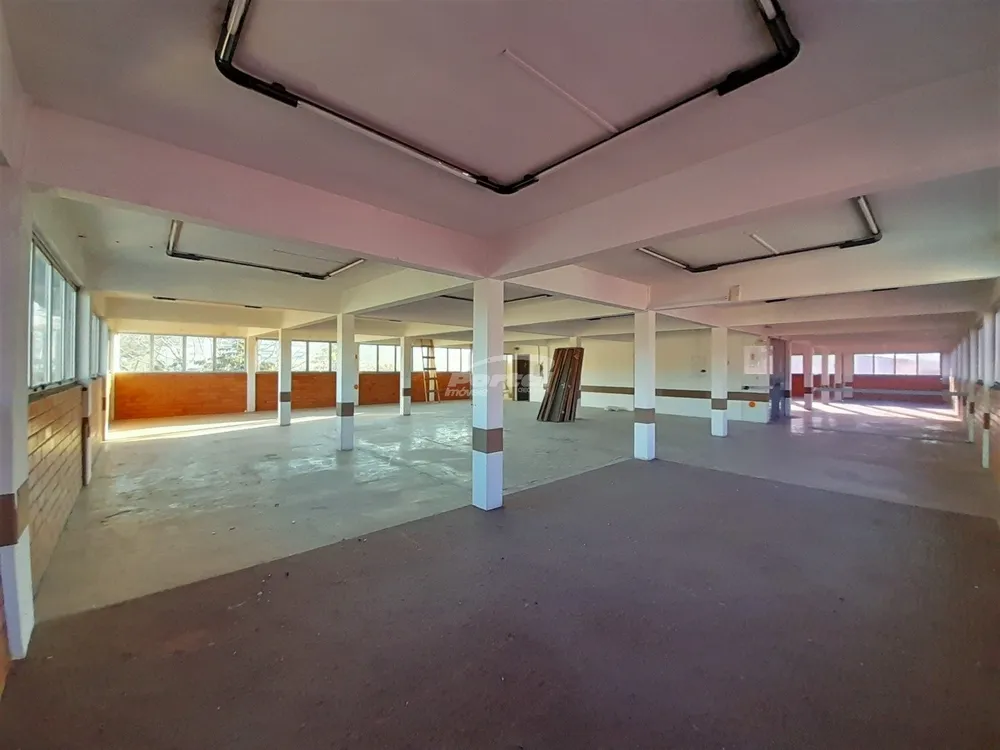 Sala-Conjunto, 250 m² - Foto 9