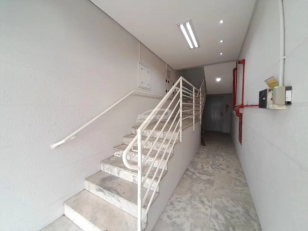 Sala-Conjunto, 250 m² - Foto 3