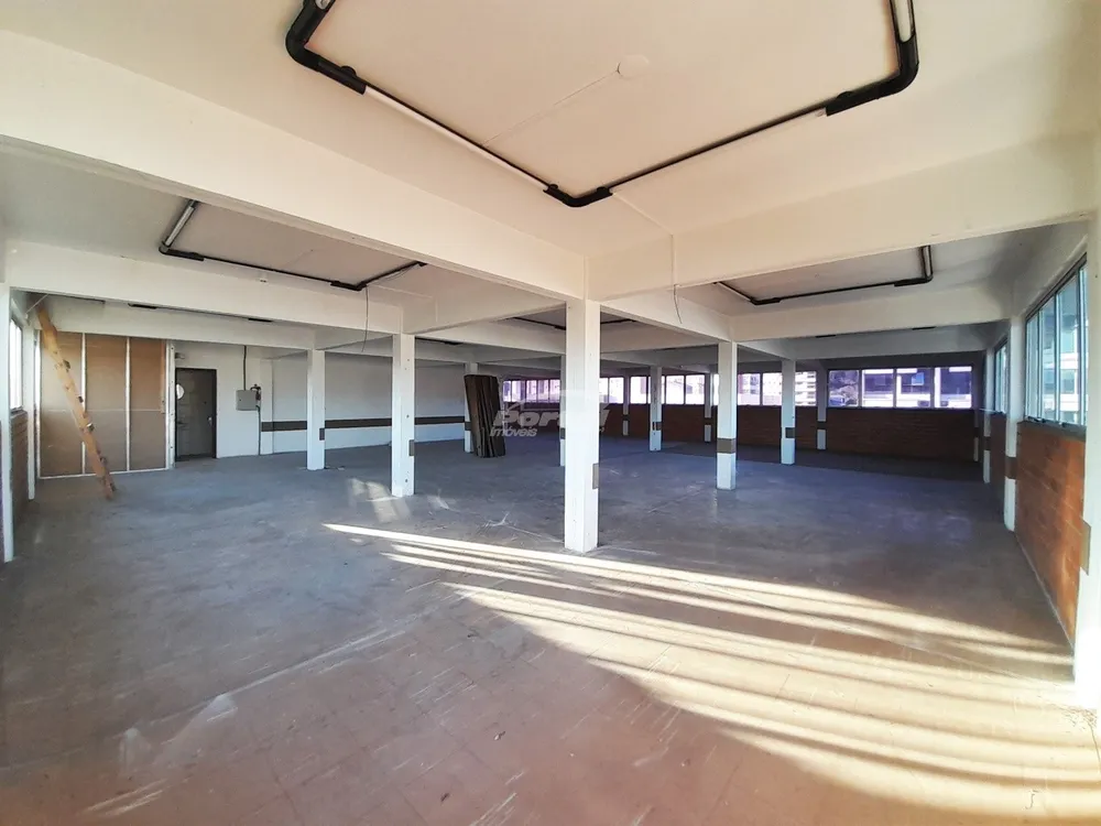 Sala-Conjunto, 250 m² - Foto 8