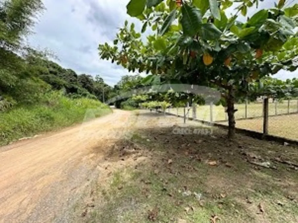 Terreno, 6000 m² - Foto 8