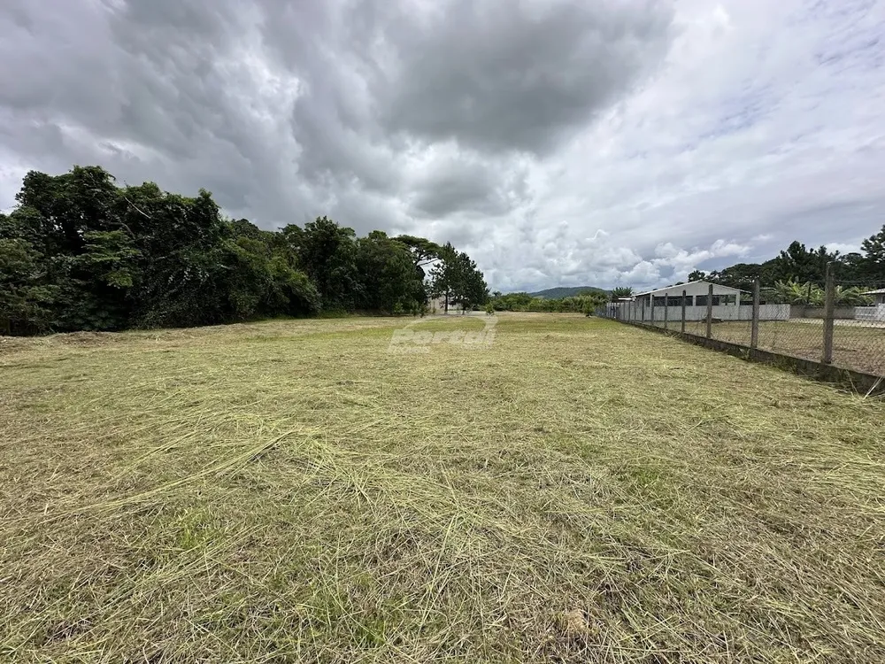Terreno, 6000 m² - Foto 6