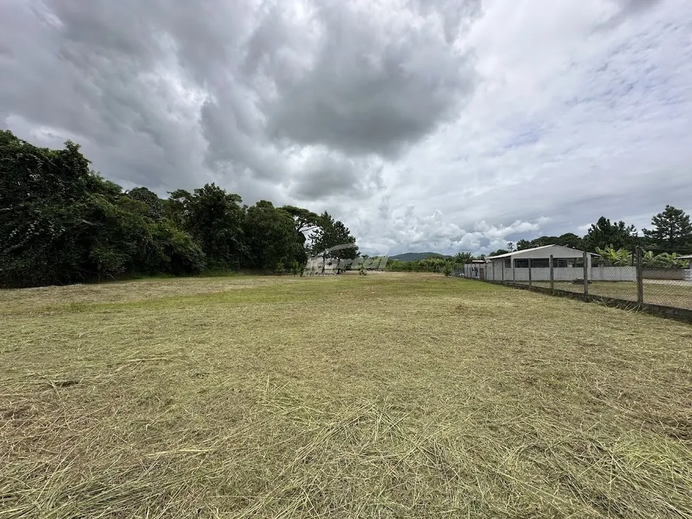 Terreno, 6000 m² - Foto 2