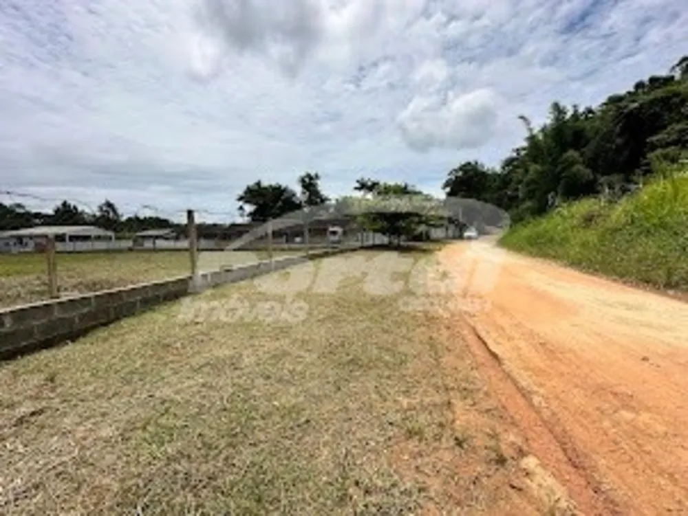 Terreno, 6000 m² - Foto 3