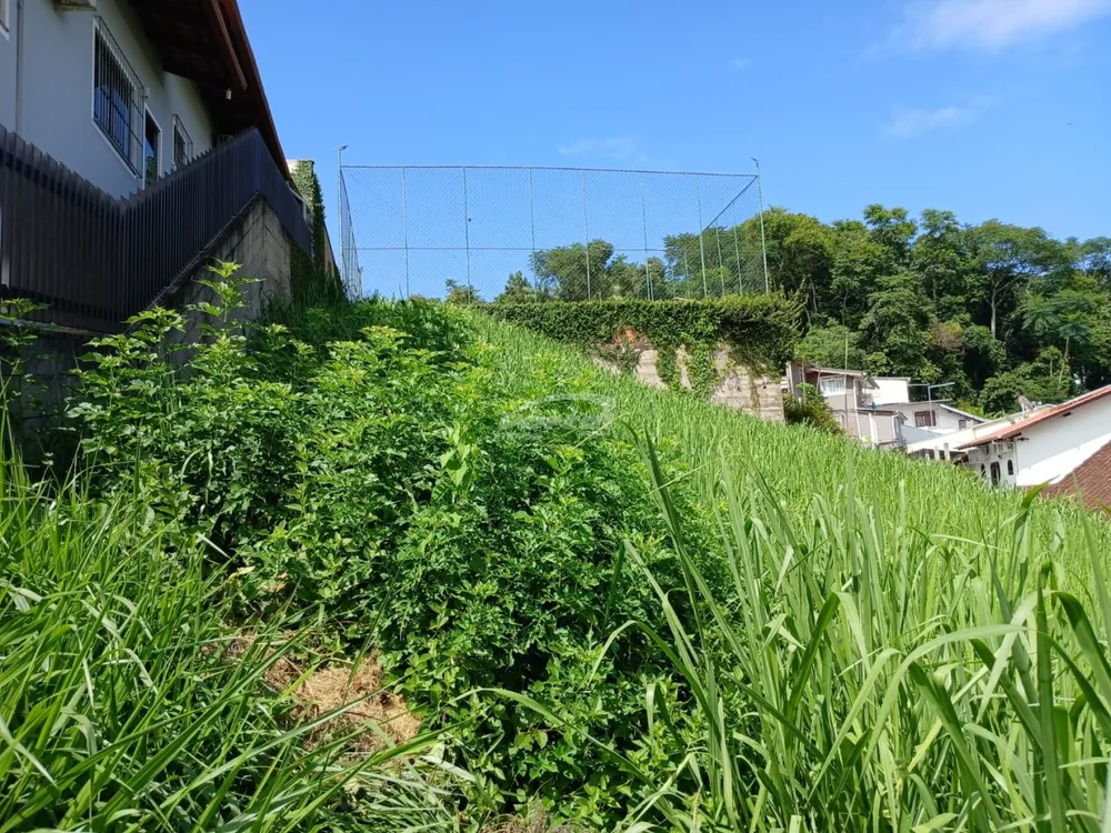 Terreno, 487 m² - Foto 8