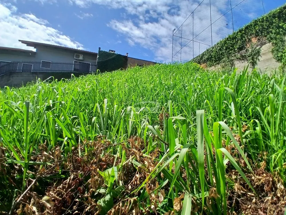 Terreno, 487 m² - Foto 6