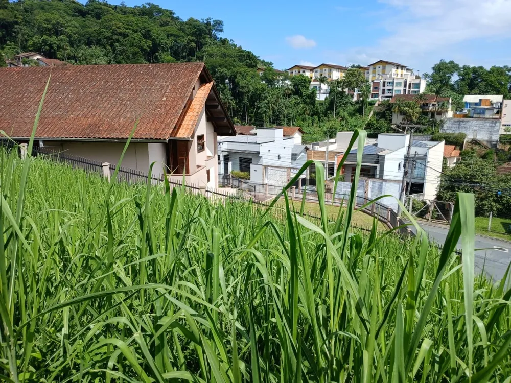 Terreno, 487 m² - Foto 7