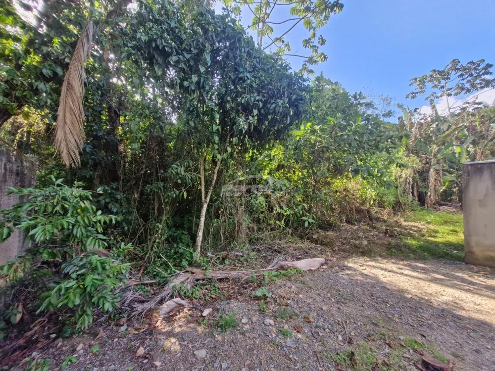 Terreno, 1032 m² - Foto 3
