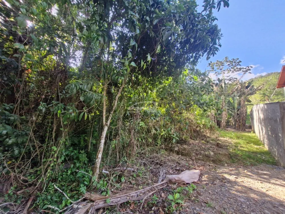 Terreno, 1032 m² - Foto 4