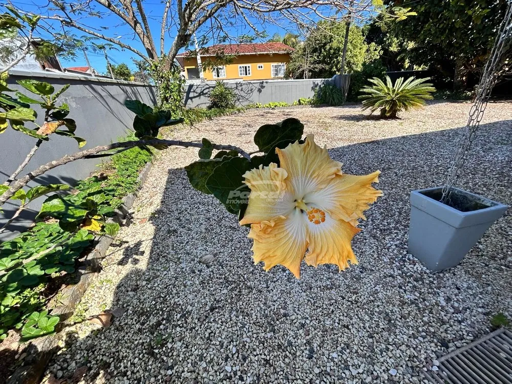 Casa, 3 quartos, 115 m² - Foto 6