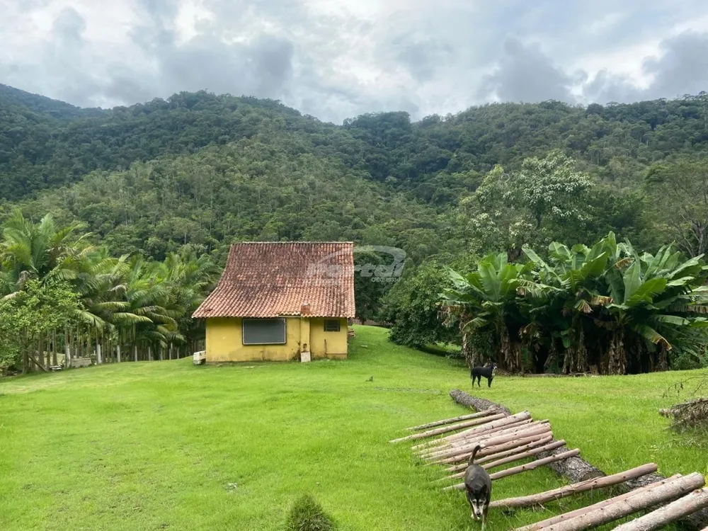 Sítio, 2 quartos, 5 hectares - Foto 1
