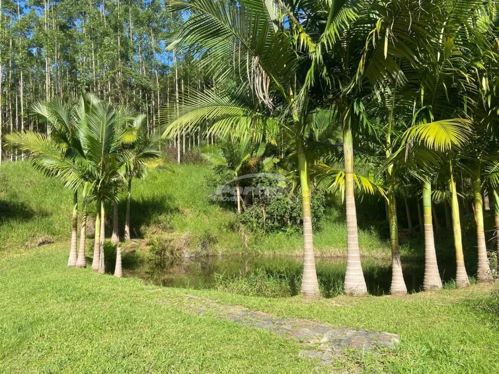 Sítio, 2 quartos, 5 hectares - Foto 7