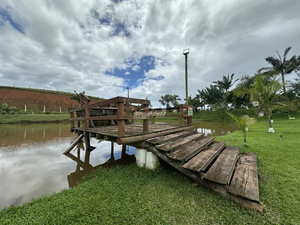 Chácara, 3 quartos, 9700 m² - Foto 4