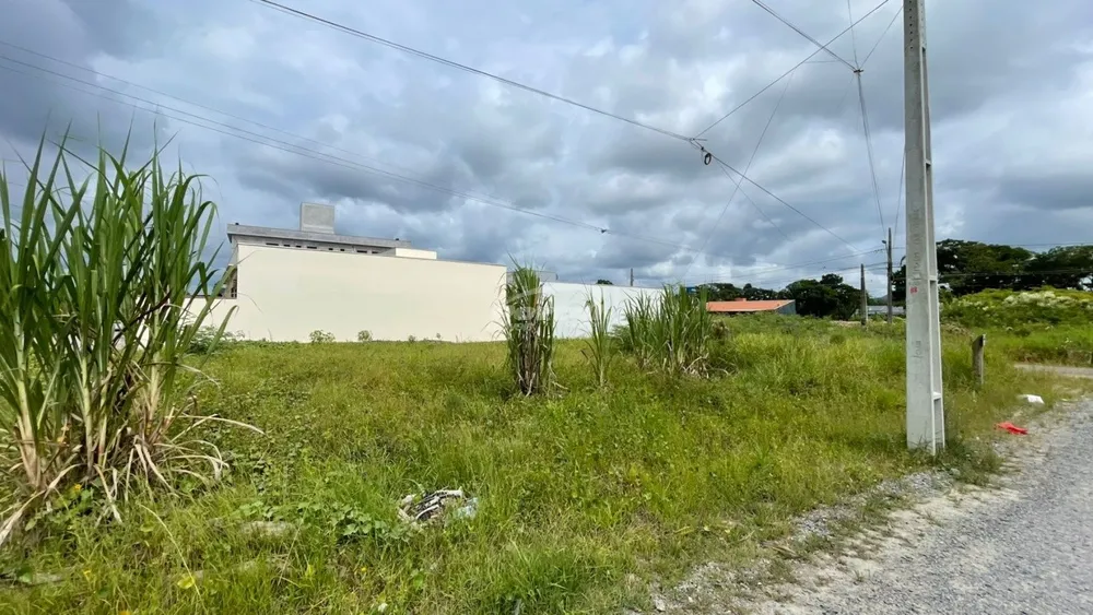 Terreno, 561 m² - Foto 4