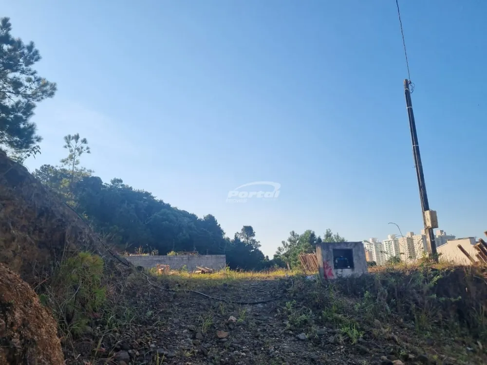 Terreno, 319 m² - Foto 4