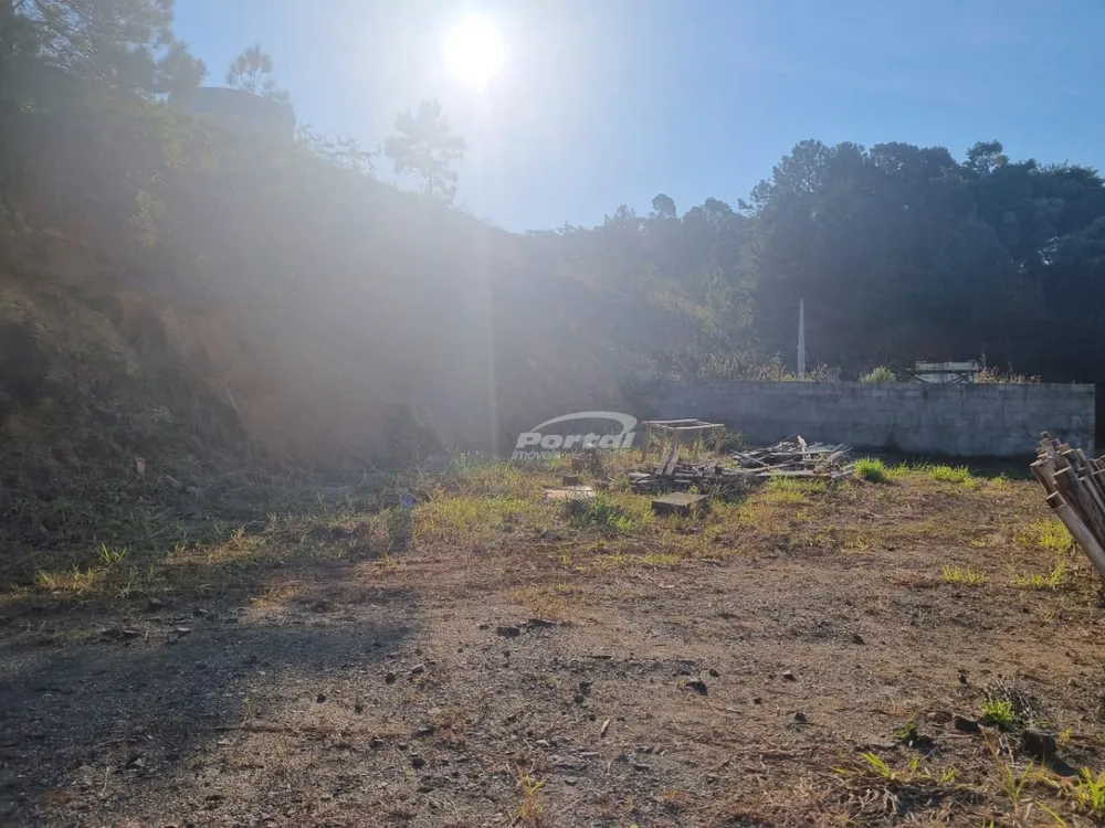 Terreno, 319 m² - Foto 5