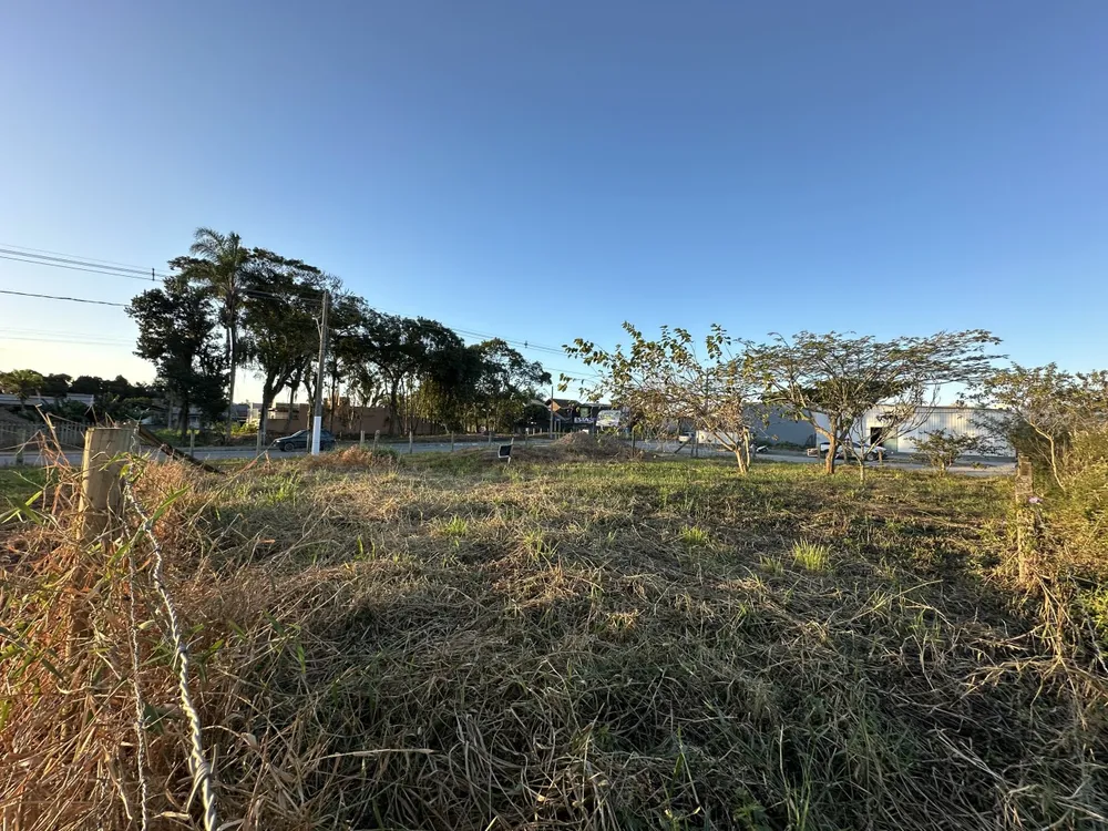Terreno, 310 m² - Foto 4