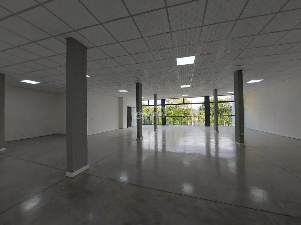 Sala-Conjunto, 240 m² - Foto 4