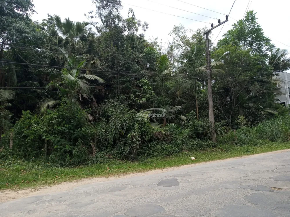 Terreno, 4 hectares - Foto 3