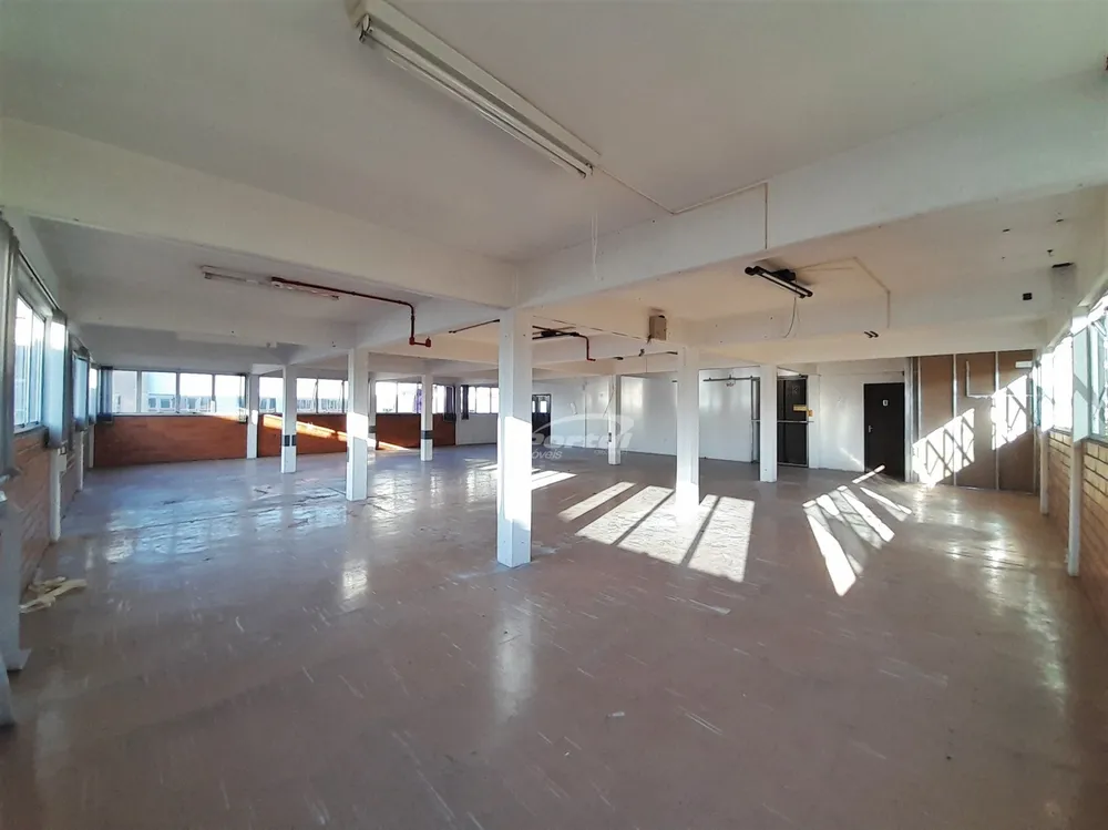 Sala-Conjunto, 500 m² - Foto 4