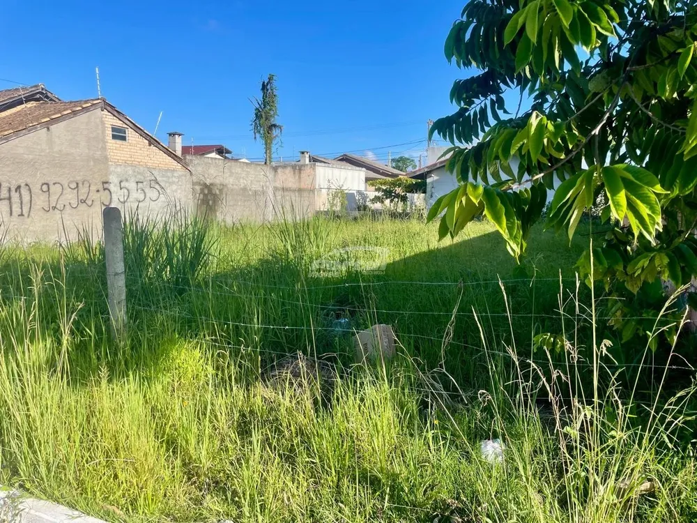 Terreno, 260 m² - Foto 10