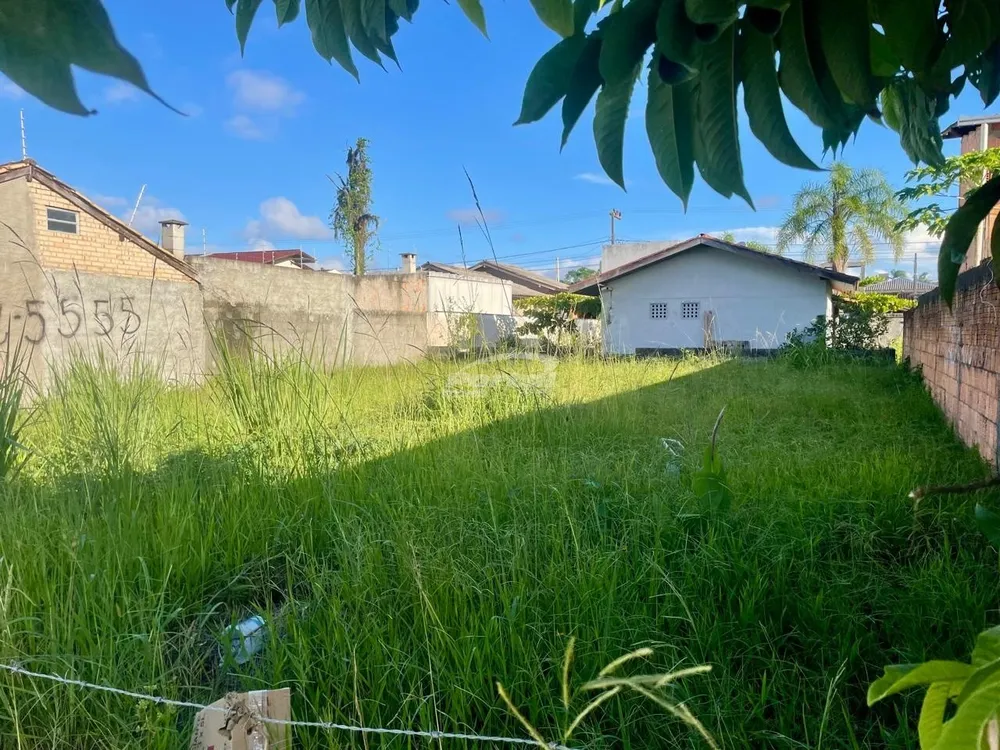 Terreno, 260 m² - Foto 7