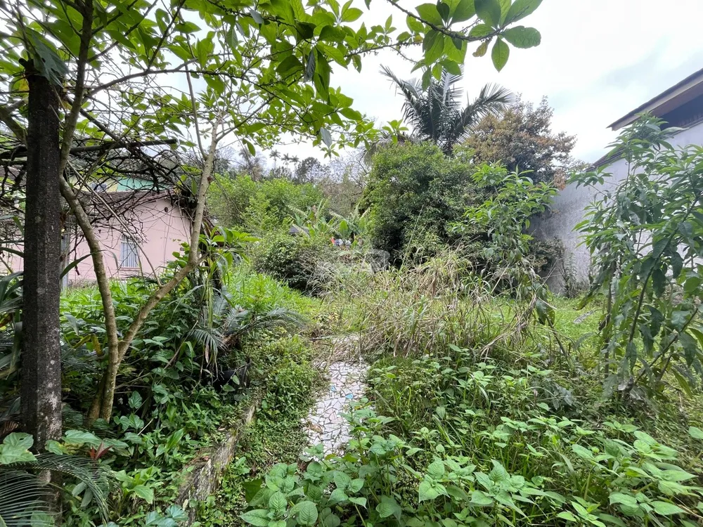 Casa, 4 quartos, 299 m² - Foto 4