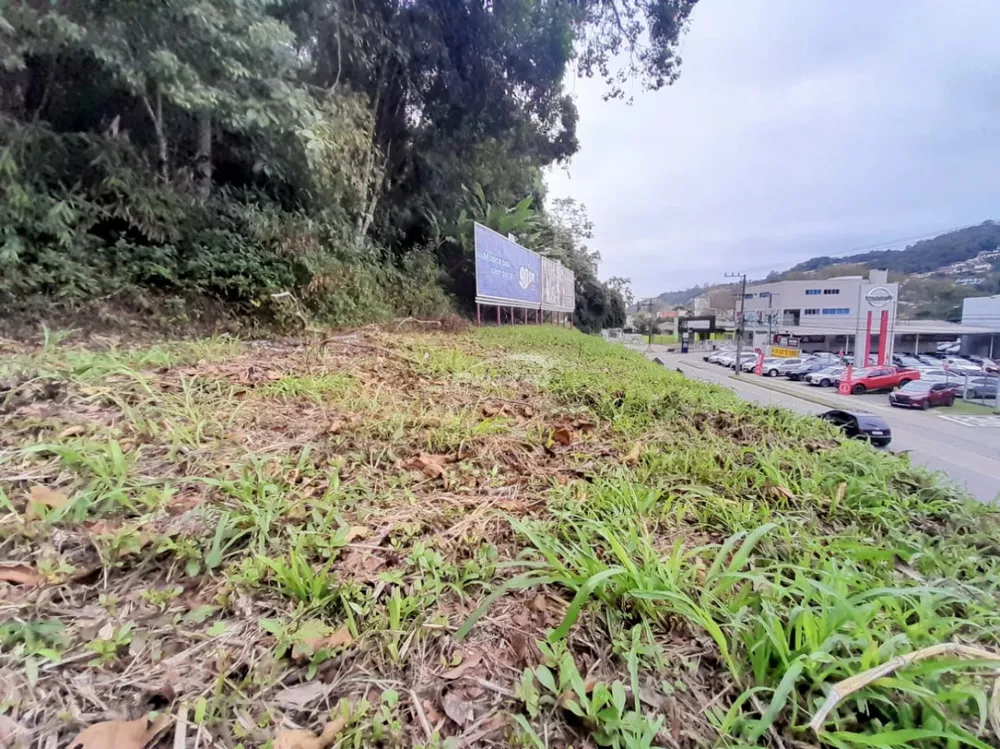 Terreno, 1200 m² - Foto 4