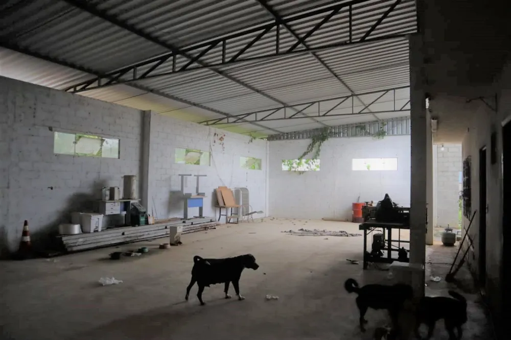 Terreno, 2500 m² - Foto 4