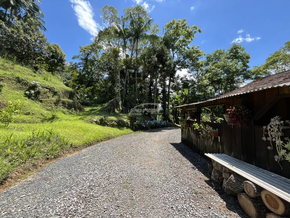 Sítio, 3 quartos, 11 hectares - Foto 4