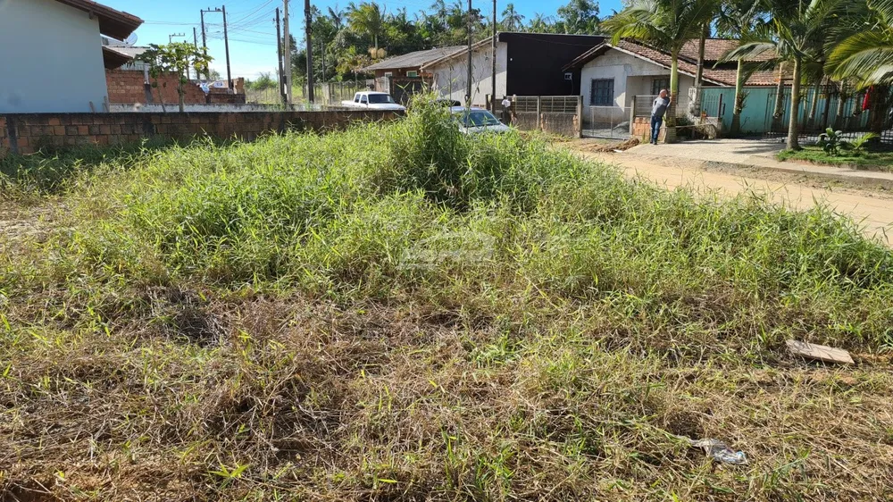 Terreno, 300 m² - Foto 4