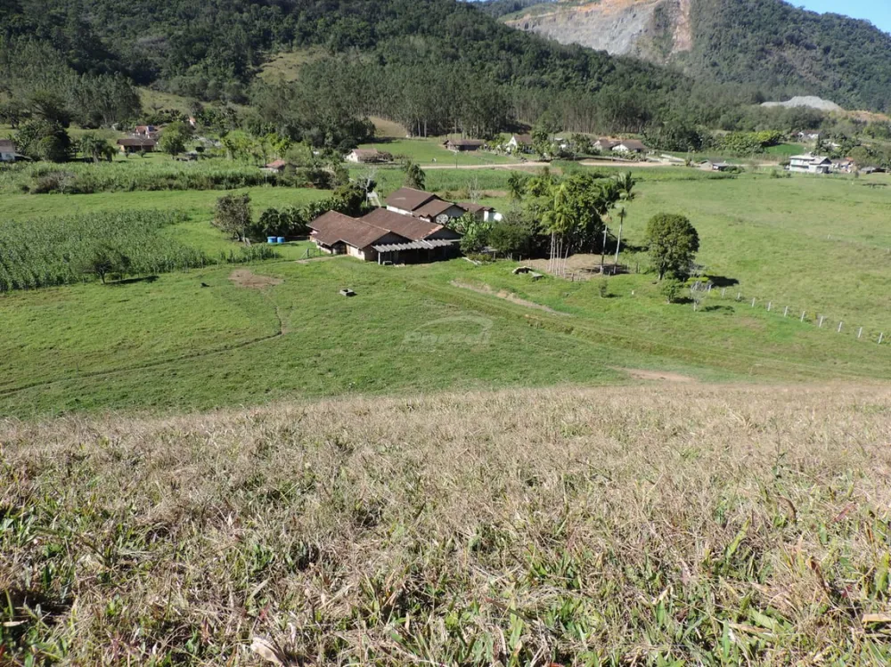 Sítio, 4 quartos, 9 hectares - Foto 3