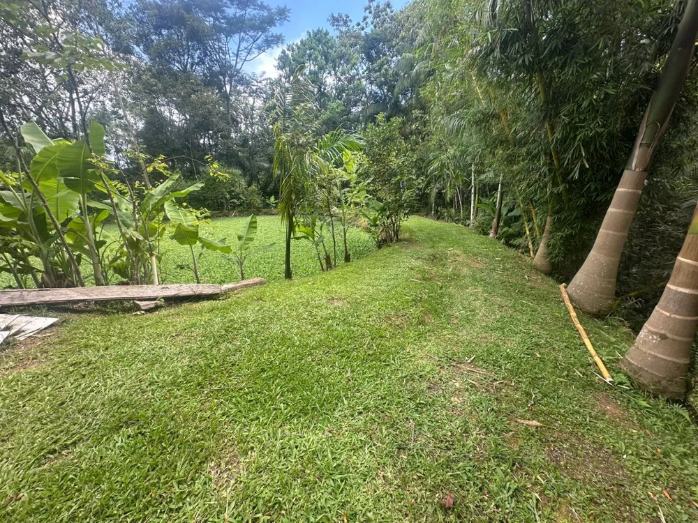 Sítio, 4 quartos, 4 hectares - Foto 4