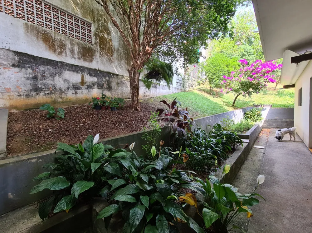Sala-Conjunto, 290 m² - Foto 4