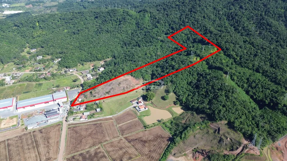 Terreno, 9 hectares - Foto 8